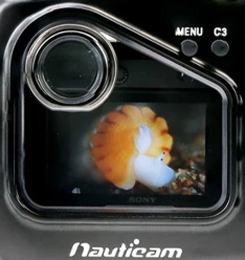 Nauticam NA-A7II LCD Polycarbonate Window