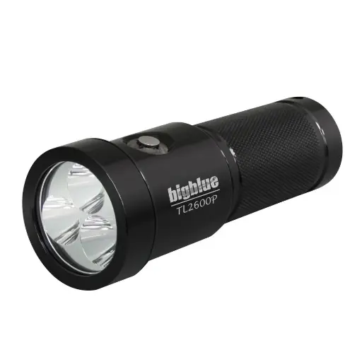 Bigblue TL2600P Tech Light